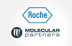 roche molecular partners