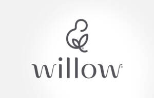 willow femtech